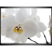 Glas Schilderij Orchidee, Bloemen | Wit, Geel