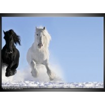 Glas Schilderij Paard, Dieren | Blauw, Zwart, Wit
