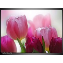 Canvas Schilderij Tulpen, Bloemen | Roze, Paars