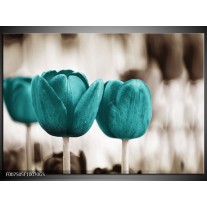 Glas Schilderij Tulpen, Bloemen | Turquoise, Sepia