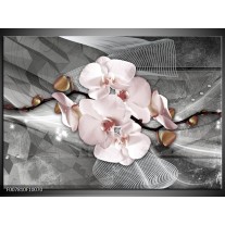 Canvas Schilderij Orchidee, Bloemen | Grijs