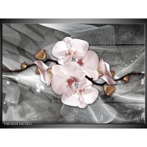 Glas Schilderij Orchidee, Bloemen | Grijs