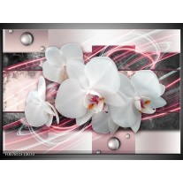 Canvas Schilderij Orchidee, Bloemen | Roze, Grijs, Wit