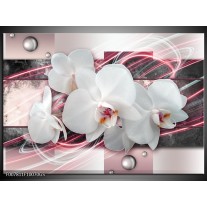 Glas Schilderij Orchidee, Bloemen | Roze, Grijs, Wit