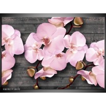 Canvas Schilderij Orchidee, Bloemen | Grijs, Roze