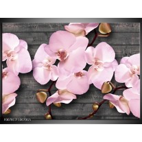 Glas Schilderij Orchidee, Bloemen | Grijs, Roze