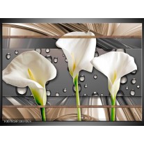 Glas Schilderij Bloemen, Modern | Grijs, Bruin