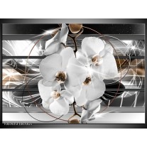 Glas Schilderij Orchidee, Bloemen | Zilver, Wit