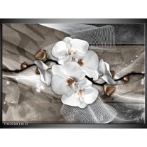 Canvas Schilderij Orchidee, Modern | Wit, Grijs