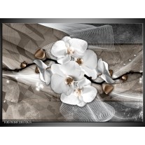 Glas Schilderij Orchidee, Modern | Wit, Grijs