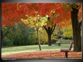 Foto canvas schilderij Park | Oranje, Geel, Groen