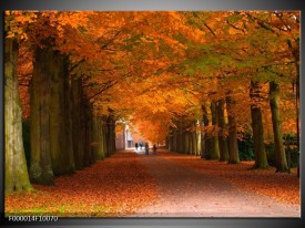 Foto canvas schilderij Herfst | Bruin, Oranje, Groen