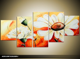 Acryl Schilderij Daisy | Wit, Oranje | 150x70cm 5Luik Handgeschilderd