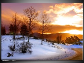 Glas schilderij Winter | Wit, Bruin, Oranje