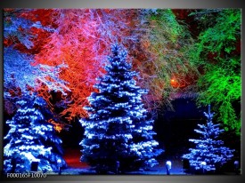 Glas schilderij Kerstboom | Blauw, Groen, Rood