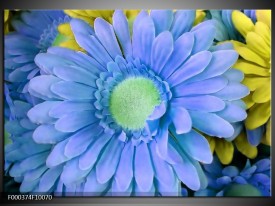 Glas schilderij Gerbera | Blauw, Geel, Groen