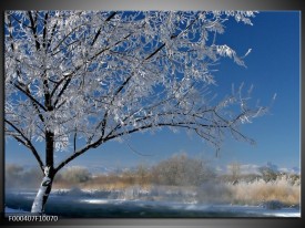 Foto canvas schilderij Boom | Blauw, Wit, Grijs