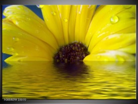 Glas schilderij Bloem | Geel, Bruin, Grijs