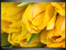 Glas schilderij Tulpen | Geel, Rood, Groen