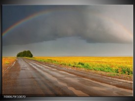 Glas schilderij Regenboog | Geel, Grijs, Groen