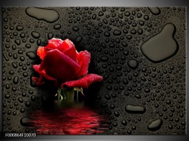 Foto canvas schilderij Roos | Rood, Zwart, Wit