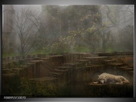 Foto canvas schilderij Wolf | Groen, Grijs