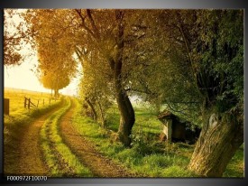 Foto canvas schilderij Bomen | Groen, Geel, Wit