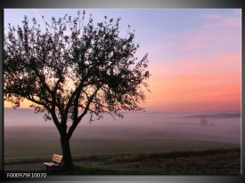 Foto canvas schilderij Boom | Paars, Zwart, Blauw