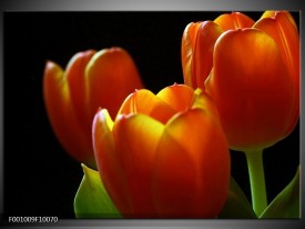 Glas schilderij Tulpen | Rood, Geel, Oranje