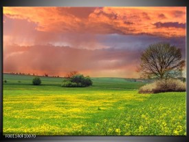 Glas schilderij Landschap | Groen, Geel, Paars