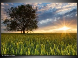 Foto canvas schilderij Landschap | Wit, Blauw, Groen