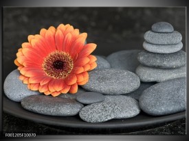 Foto canvas schilderij Bloem | Oranje, Grijs