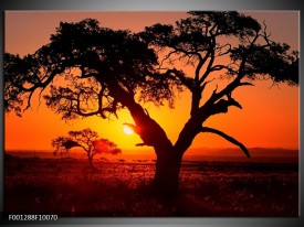 Glas schilderij Zonsondergang | Zwart, Geel, Rood