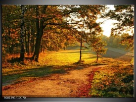 Glas schilderij Natuur | Groen, Geel, Bruin