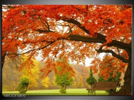 Foto canvas schilderij Herfst | Oranje, Groen, Geel