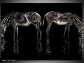 Foto canvas schilderij Zebra | Zwart, Wit