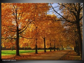 Foto canvas schilderij Bomen | Geel, Oranje