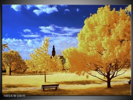 Foto canvas schilderij Natuur | Geel, Blauw, Wit