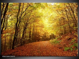 Glas schilderij Natuur | Geel, Groen, Bruin