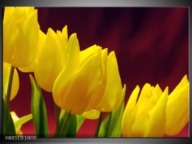 Glas schilderij Tulpen | Geel, Bruin, Groen