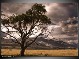 Foto canvas schilderij Natuur | Wit, Zwart, Grijs