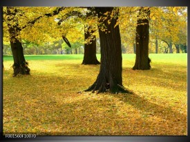 Foto canvas schilderij Natuur | Geel, Groen, Zwart