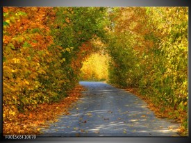 Foto canvas schilderij Natuur | Groen, Bruin, Grijs