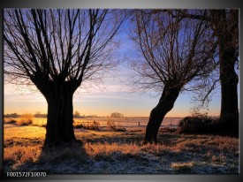 Foto canvas schilderij Natuur | Zwart, Blauw, Geel