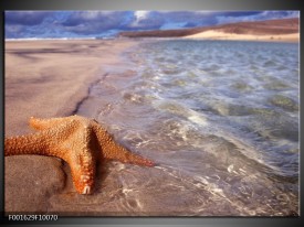 Foto canvas schilderij Strand | Geel, Grijs, Bruin