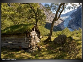 Foto canvas schilderij Natuur | Groen, Grijs