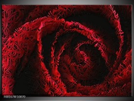 Foto canvas schilderij Roos | Rood, Zwart