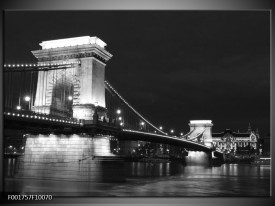 Foto canvas schilderij Brug | Grijs, Zwart, Wit