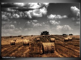 Foto canvas schilderij Natuur | Grijs, Zwart, Oranje