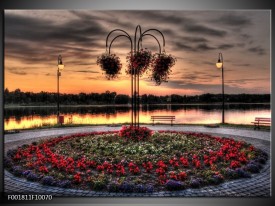 Foto canvas schilderij Bloemen | Rood, Zwart, Geel